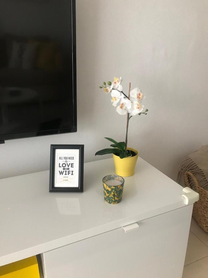 Designer'S Flat - 3 Bdrm - Wifi - Best Location Alicante Dış mekan fotoğraf
